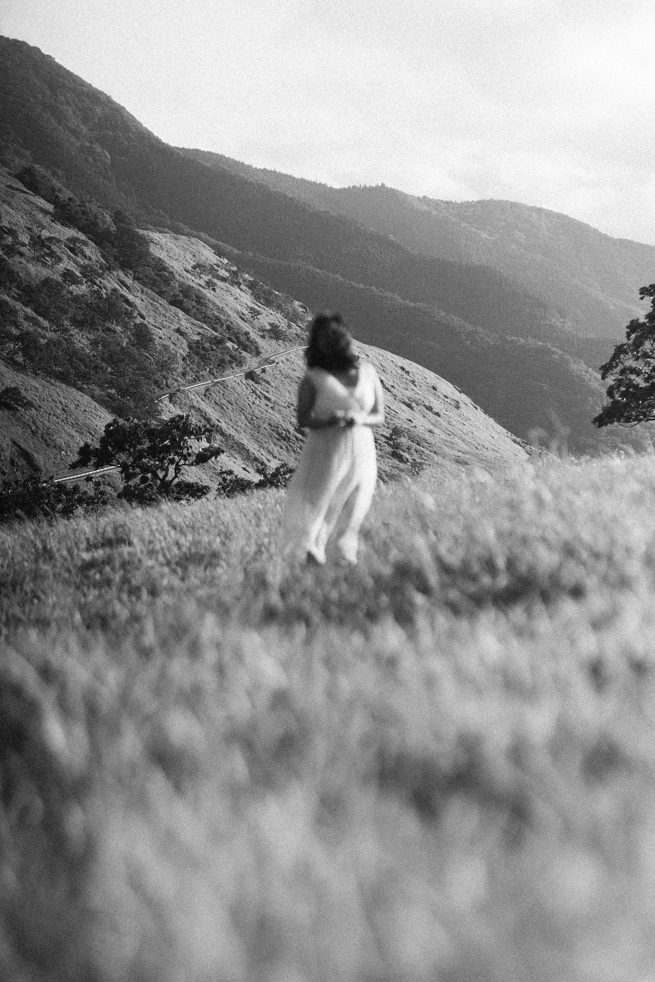 Silver Screen Solitude
