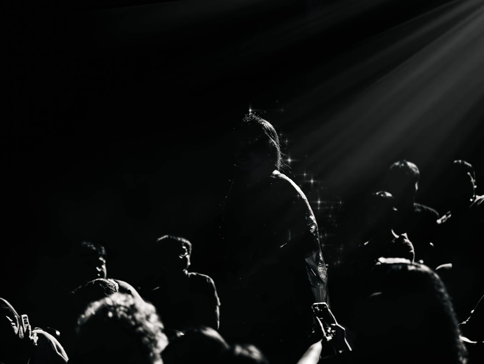 The Dark Curtain