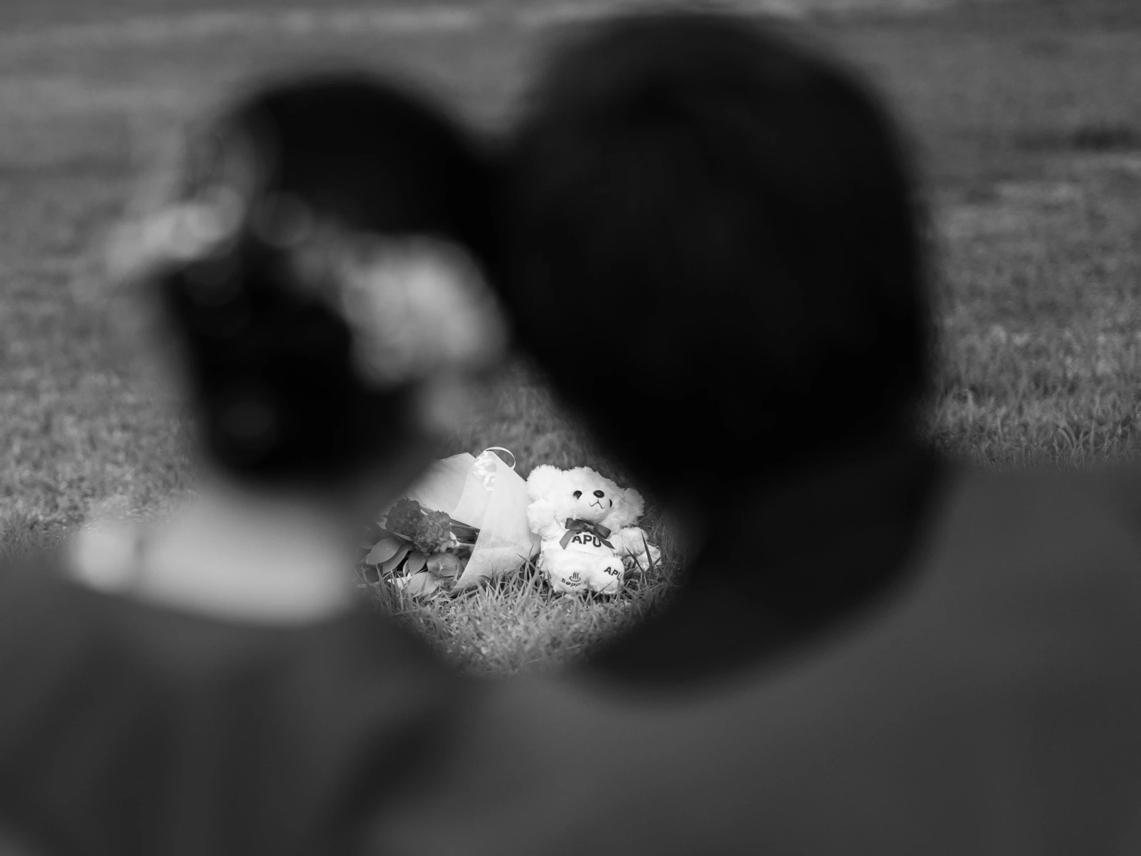 Celebration & Sunlight
