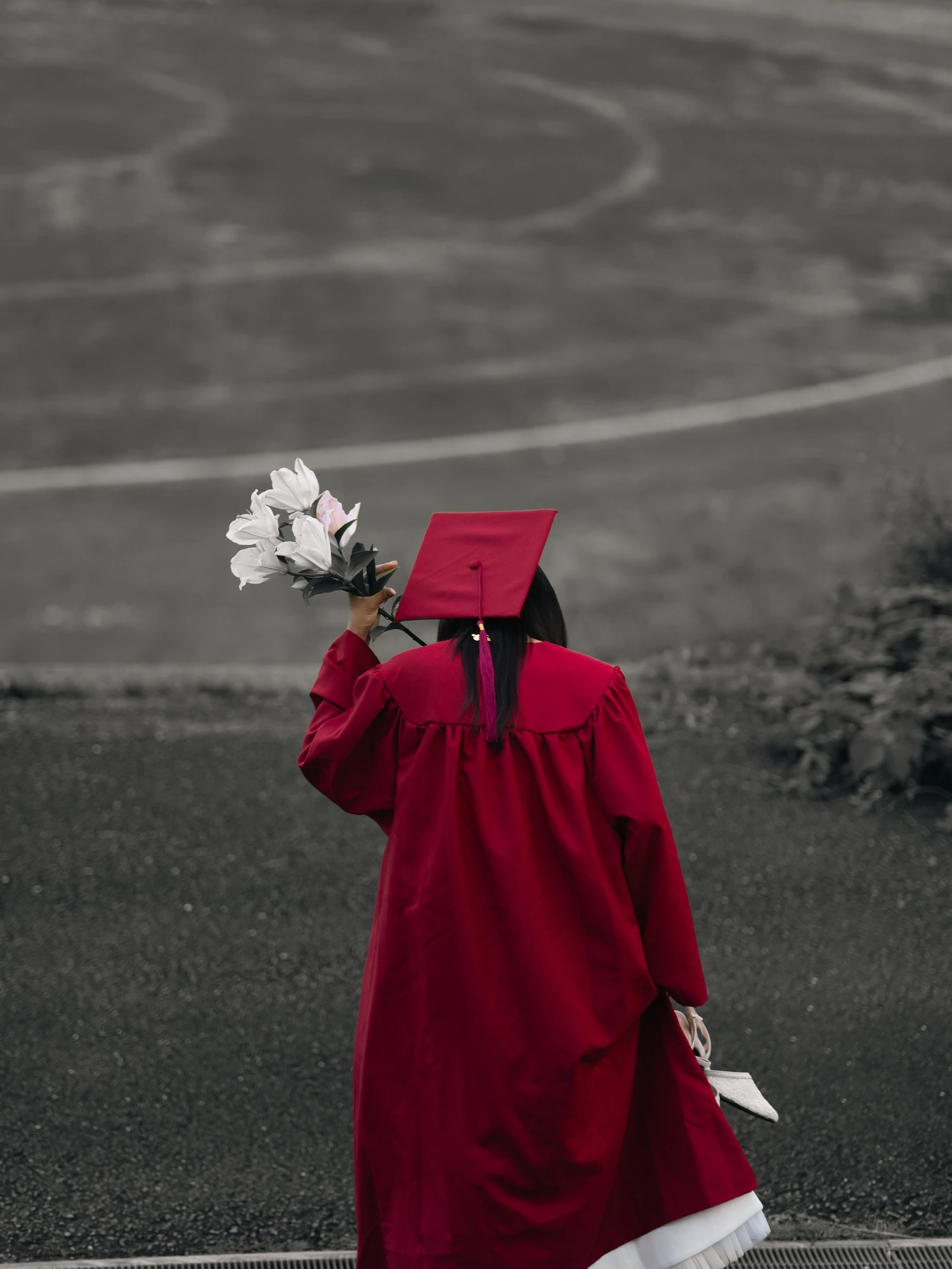 Sunlit Mortarboard